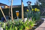 Gepflegter Garten mit Beeten und Hecken